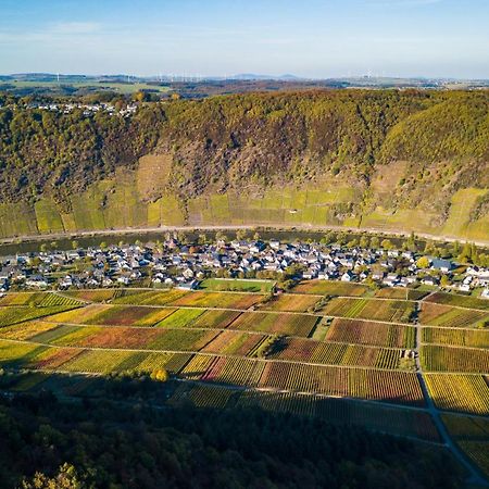 Апартаменты Ferienweingut Gansen Hochgenuss 2 Эрнст Экстерьер фото
